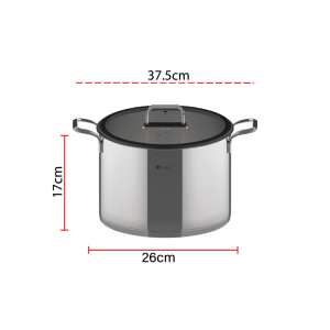 Dorsch Stainless Steel Pots