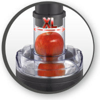 Moulinex Easy Fruit Juicer