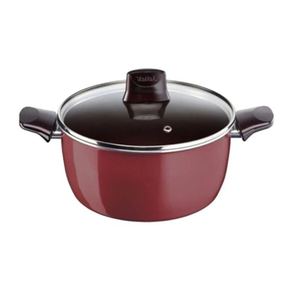 Tefal Pleasure Faitout 30 CM With Lid