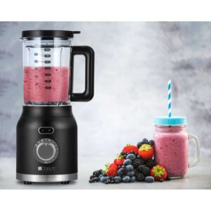 Dorsch Stand Blender– 1200W