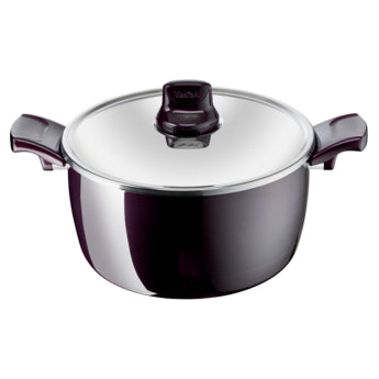 Tefal Resist Intense Stewpot 26 CM