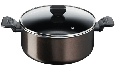 Tefal Easy Cook & Clean Stewpot 24 CM – B5544602